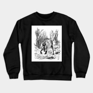 Alpha Crewneck Sweatshirt